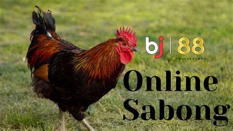 sabong weight classes|Demystifying Sabong Weight Classes .